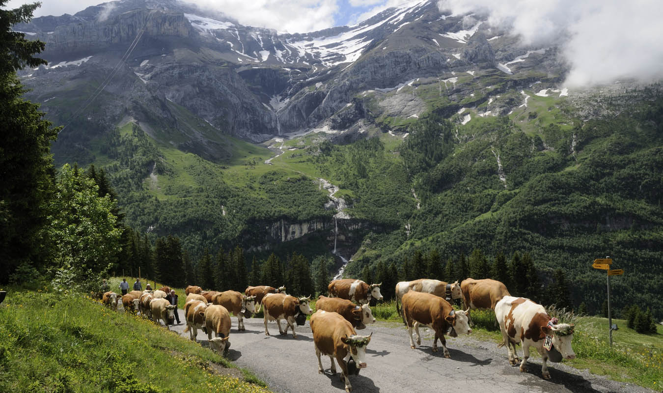 Hotel Eurotel Victoria Les Diablerets