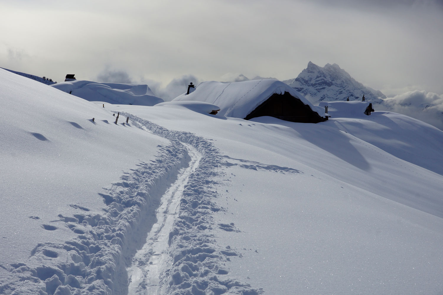 Hotel Eurotel Victoria Les Diablerets