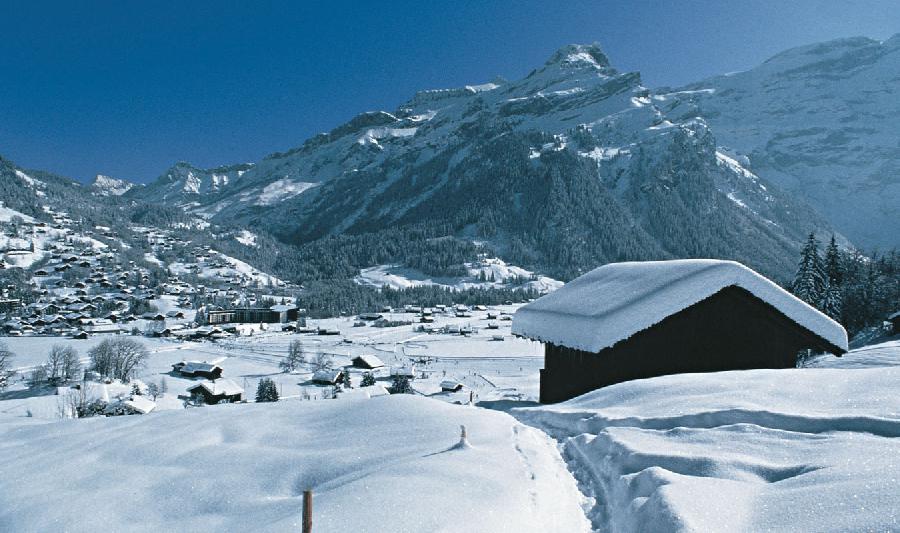 Hotel Eurotel Victoria Les Diablerets