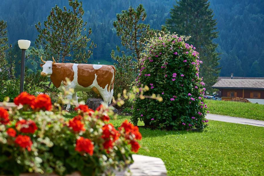 Hotel Eurotel Victoria Les Diablerets